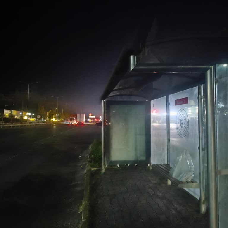 Gece Saatinde Otobüs Şoförü El İşaretini Görmezden Gelerek Durmadı
