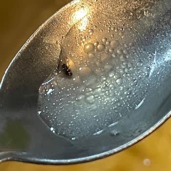 İndomie Noodle’da Böcek Tespiti Hijyen Şikayeti