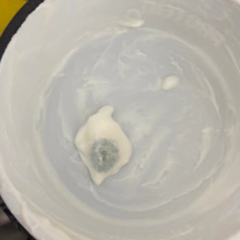Küflü Quark Ürünü Son Kullanma Tarihi Henüz Geçmemiş