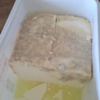 Ekici Süzme Peynirinde Erken Küflenme Ve İade Talebi