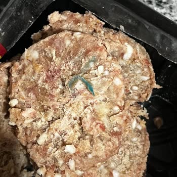 A101 Şubesinde Satılan Akçaabat Köfte Üzerindeki Mavi Yabancı Madde
