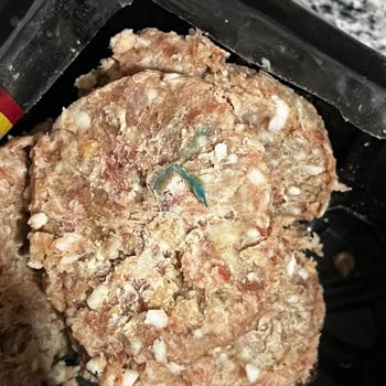 A101 Şubesinde Satılan Akçaabat Köfte Üzerindeki Mavi Yabancı Madde