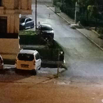 Kazım Karabekir Mahallesi'nde Gece Sahipsiz Köpek Sürüleri İnsan Ve Hayvan Güvenliğini Tehdit Ediyor