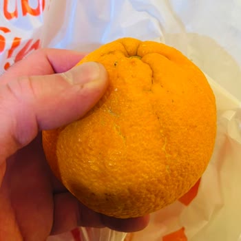 Migros Sanal Market'ten Bozulmuş Taze Ürünler: Güven Sarsıcı Deneyim
