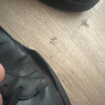 Çok Kısa Sürede Açılan Calvin Klein Ayakkabı İçin İade Talebi