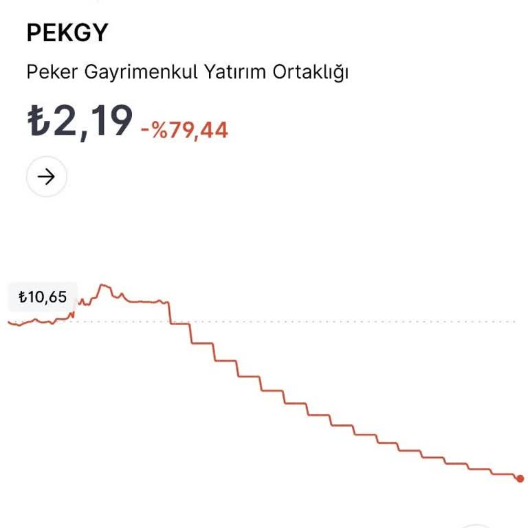 PEKGY Hisselerinde Likidite Kilidi Ve Küçük Yatırımcı Mağduriyeti