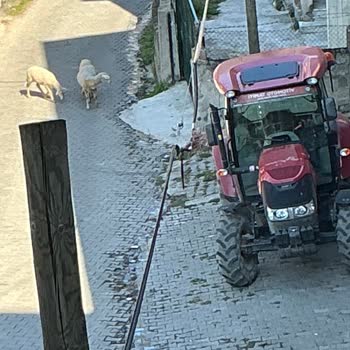 Zonguldak Devrek Köyünde Kablo Ve Kutu Arızası Nedeniyle İnternet Kesintisi Ve Ücret İadesi Talebi