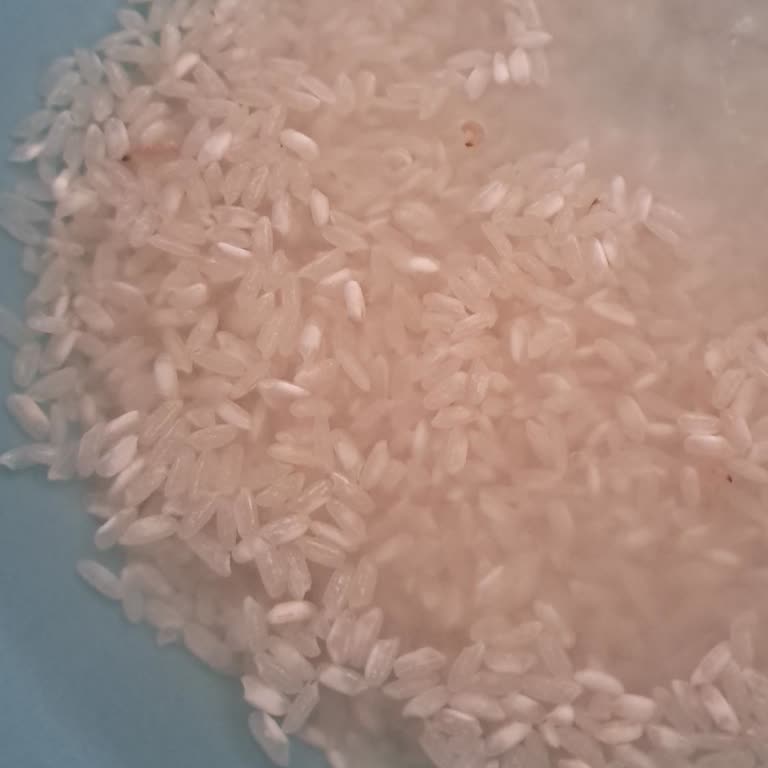 BİM Efsane Pirinçte Kurt Olması