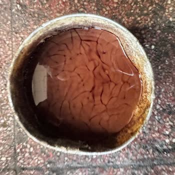 İsuzu Şanzıman Su Girişi Arızası Garanti Reddiyle Müşteriyi Mağdur Etti