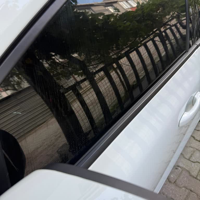 Şanzıman Sesleri Ve Servisin Uygunsuz Davranışı