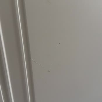 Teslimat Gecikti, Kapı Ve Duvar Hasar Gördü Ve Ürün Kalitesiz