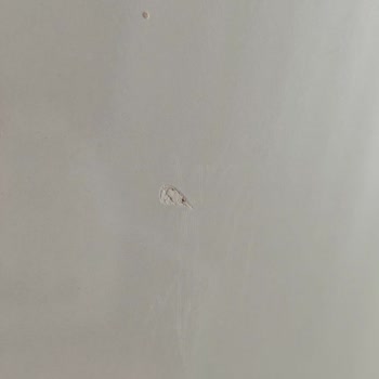 Beyaz Gold Dolapta Üç Kapak Hasarlı, Değişim Bekleniyor