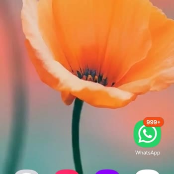 Ayıplı Telefon İade Talebim Yok Sayıldı Ve Hatalı Onarım Gönderildi