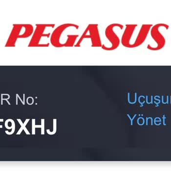 Pegasus Uçuşunda Elektrik Arızası Ve Klima Çalışmaması Nedeniyle Uzun Bekletilme