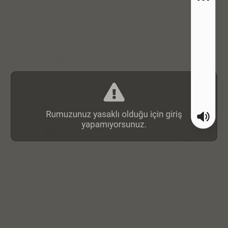 Kimlik Doğrulama Hatası Nedeniyle Gabile Life Hesabına Giriş Yapamama