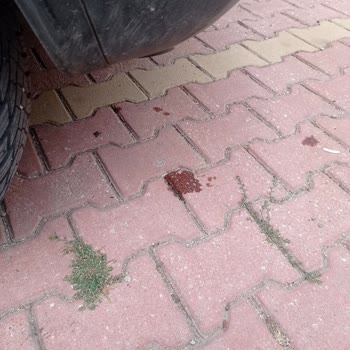 Afyonkarahisar Auto King’in Yanıltıcı Yönlendirmesi Ve Sözünü Tutmaması
