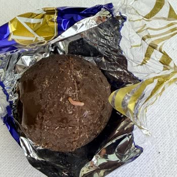 Kahve Dünyası Lavi Çikolatasında Kurt Bulgusu Ve Sağlık Riski