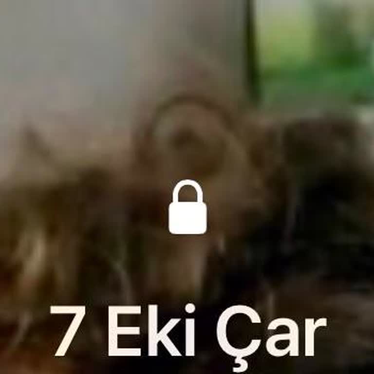 İstanbul’da Vodafone Kurumsal Hatların Çekim Sorunu İşimizi Felç Ediyor