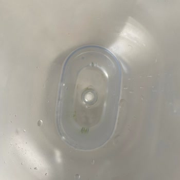 Brita Aluna XL Sürahisinde Sürekli Yosunlanma Ve Sağlık Endişesi: Ürün Değişimi İsteği