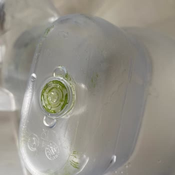 Brita Aluna XL Sürahisinde Sürekli Yosunlanma Ve Sağlık Endişesi: Ürün Değişimi İsteği
