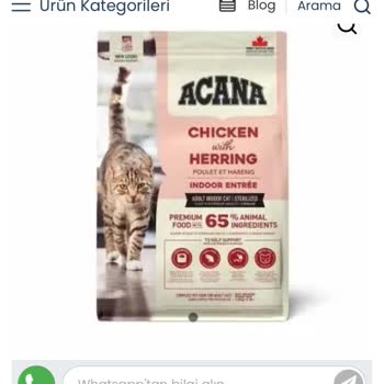 Geciken Sipariş, Açık Orijinal Olmayan Mama Ve İletişimsizlik