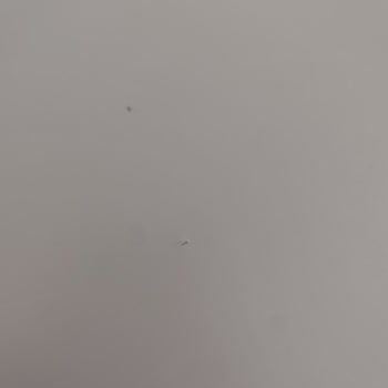 Ergül Mobilya’da Yatak Çerçevesi Sürekli Çöküyor, Garanti Red Edildi