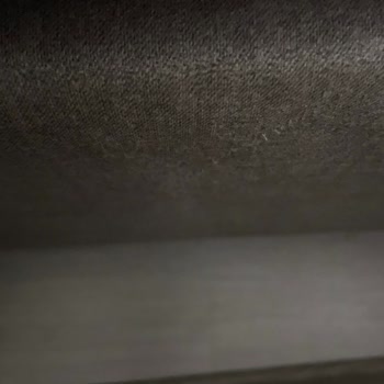 Pati Dostu İddiası Yanıltıldı Garanti İçin Haytap Belgesi Şartı Getirildi