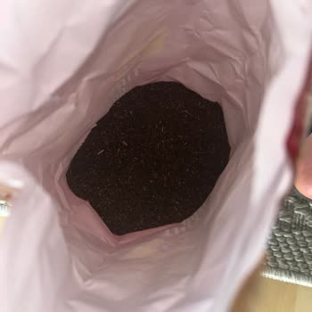 Tiryaki Çayın Kalite Düşüşü Ve Lezzet Değişikliği
