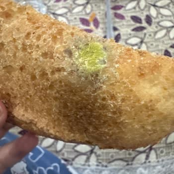 Küflü Kepekli Ekmekte Sağlık Riski Nimet Markası Şikayeti