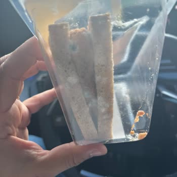 Opet Son Kullanma Tarihi Geçmemiş Sandviçte Beyaz Küf Ve Sağlık Sorunu