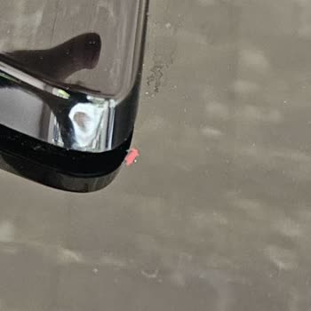 Boya Atması Nedeniyle Teklif Farklılığı Ve Adil Değerlendirme Talebi