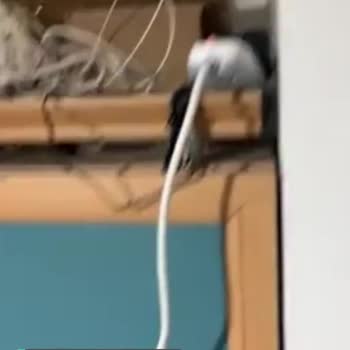 Türk Telekom Böyle Montaj Mı Olur?