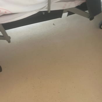 Erzurum Şehir Hastanesinde Hijyen Eksikliği Ve Kirli Oda Şikayeti