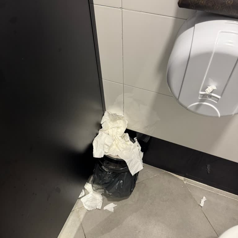 Opet Gürpınar Tuvaletinde Hijyen Ve Temizlik Sorunu