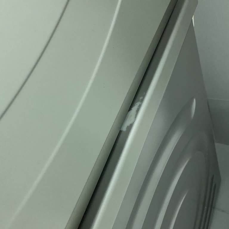 Boya Soyulmuş Çamaşır Makinesi İçin Değişim Talebi