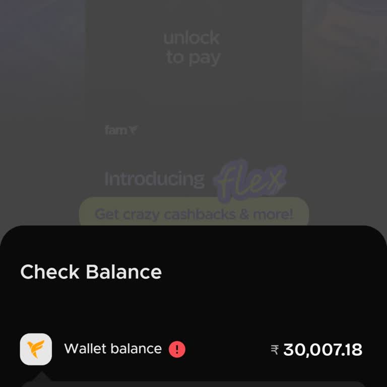 FamApp Wallet Suspended for Suspicious Activity and Funds Blocked