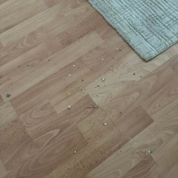 Kırık Çiçek Saksısı Ve İade Zorluğu