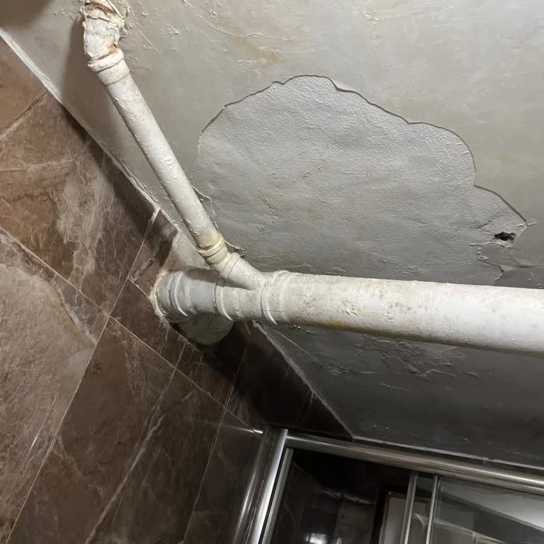 ABC Apart Koku Ve Banyonun Hijyenik Olmayan Durumu