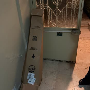 Hasarlı Monster Bitkisi Ve Umursamaz Satıcıdan İade Talebi