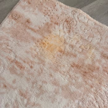 Öz Hijyen Halı Yıkama Fabrikası Erciş Tüm Ürünlerimi Resmen Mahvettiler