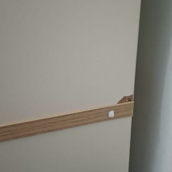 Kırık Çalışma Masası Ve Teslim Edilmeyen Kahve Köşesi İçin Acil Çözüm Talebi