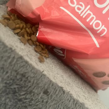 Trendyol’da Patlamış Ambalajda Kedi Maması Hijyen Sorunu
