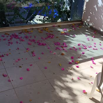 The Hello Otel'de Her Şey Dahil Sözleri Yanıltıcı Ve Hijyen Sorunlarıyla Gölgelendi