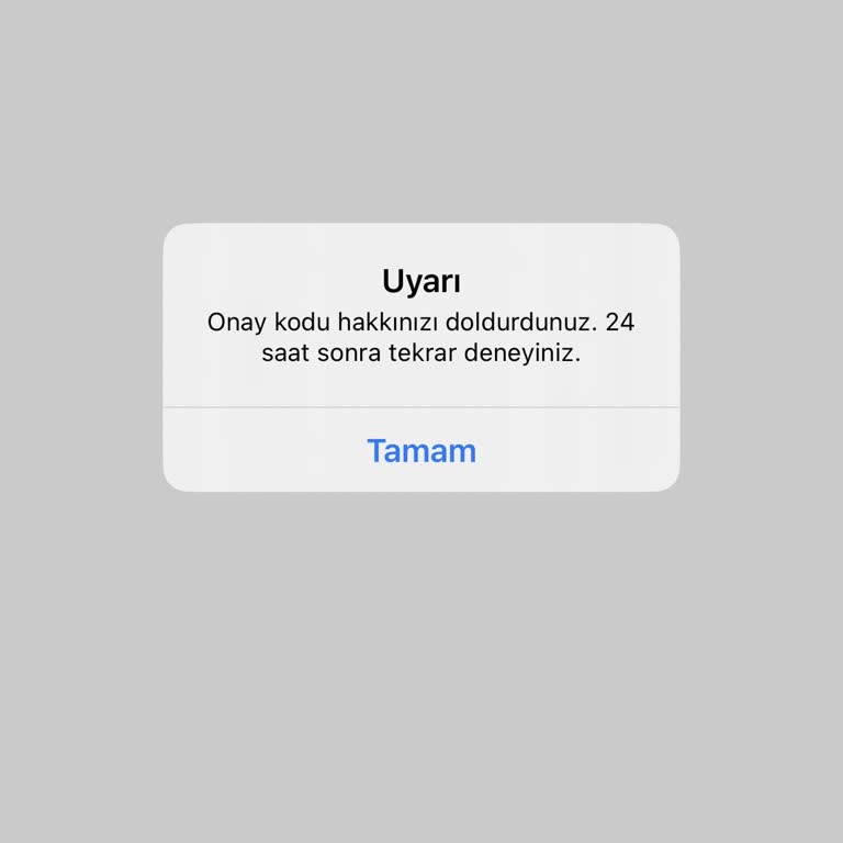 SMS Doğrulama Engeli Nedeniyle Sahibinden Hesabına Giriş Sağlanamıyor