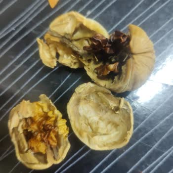 Manisa Mavi Bostan'dan Çürük Ceviz Teslimi Ve İade Talebi