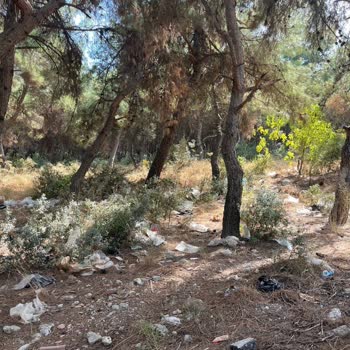 Sarnıç Bölgesinde Çevre Kirliliği Ve Kapalı Pazar Eksikliği İçin Belediye Müdahalesi Talebi