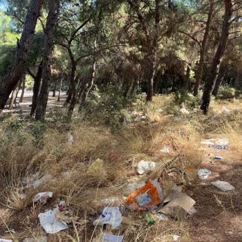 Sarnıç Bölgesinde Çevre Kirliliği Ve Kapalı Pazar Eksikliği İçin Belediye Müdahalesi Talebi