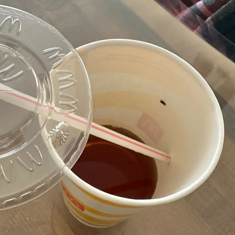 McDonalds Çekmeköy Şubesinde Sinekle Karşılaşılan Hijyen Sorunu