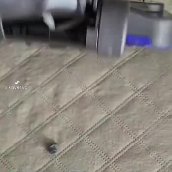Dyson Evimize Süpürge Değil Prenses Aldık