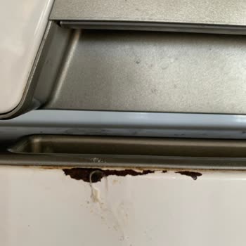 Garanti Kapsamında Değiştirilen Kapakta Boya Dökülmesi Ve Kalite Şikayeti